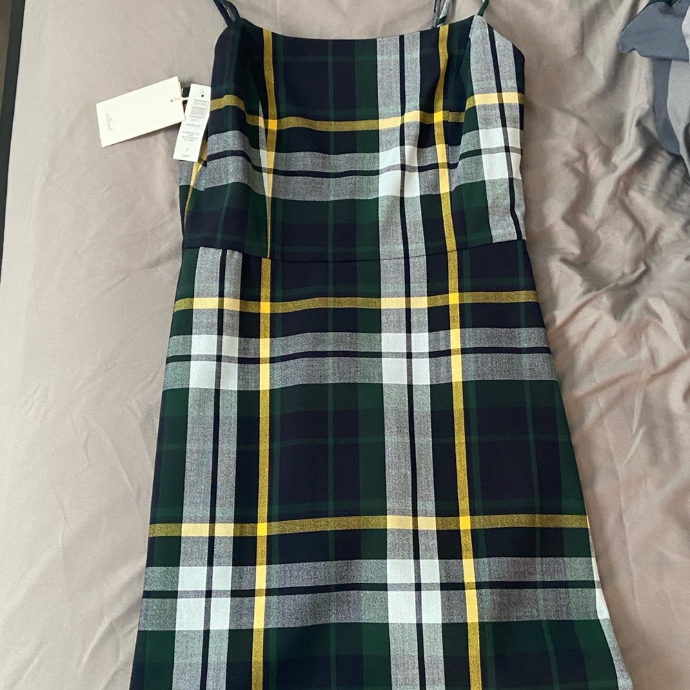 Brand New Wilfred Dress